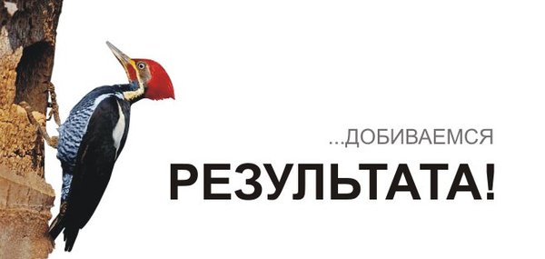 Услуги вся реклама. Реклама агентства недвижимости. Лозунг рекламного агентства. Креативная реклама риэлтора. Креативная реклама агентства недвижимости