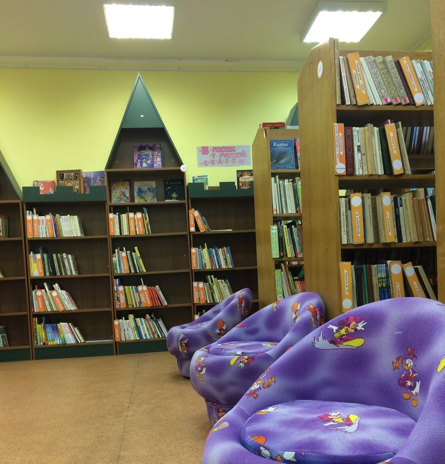 областная детская библиотека. библиотеки калининградской области. детская библиотека имени гайдара калининград. библиотека гайдара детская калининград. библиотека калининград детская на черниговской.