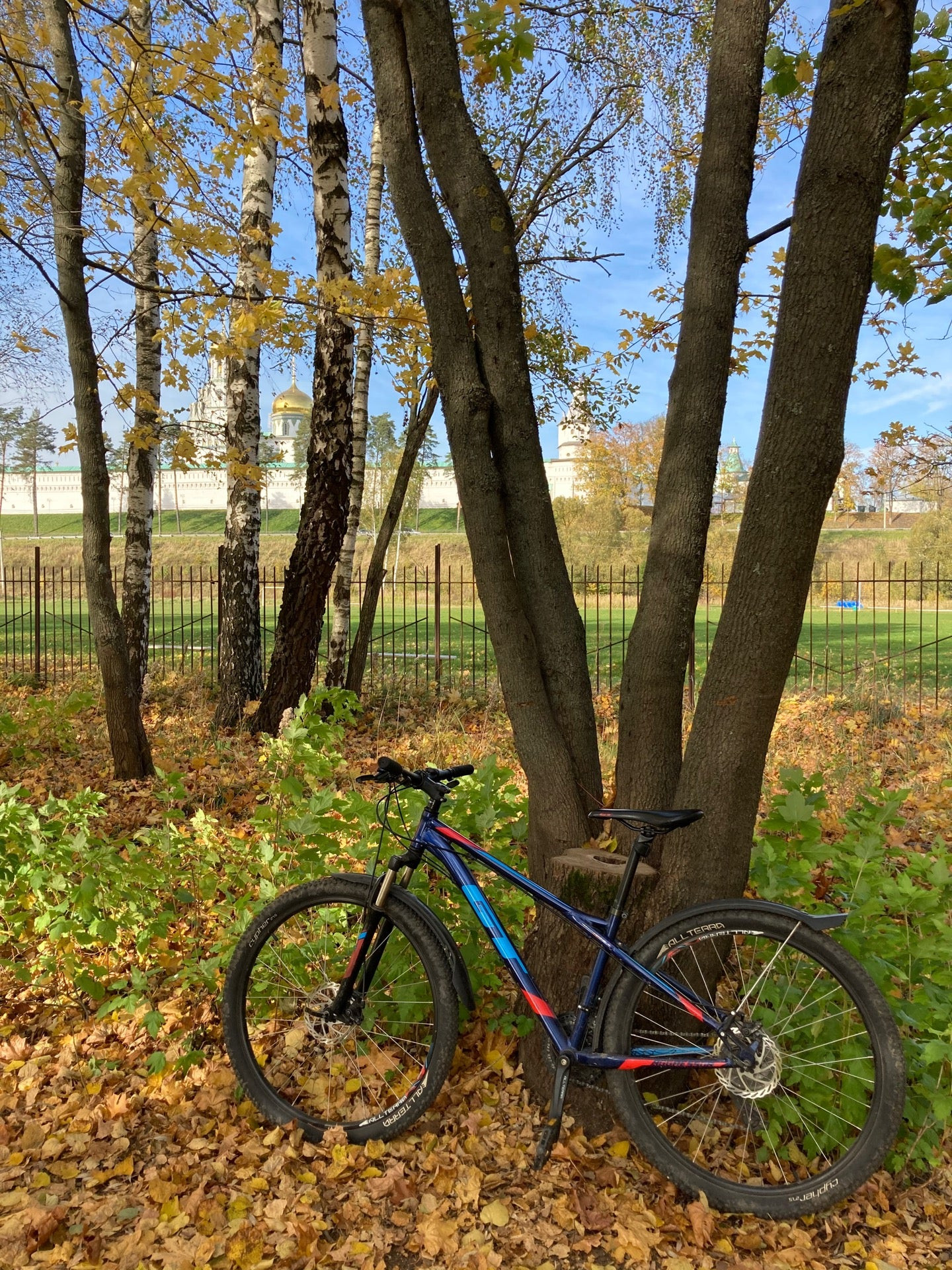 Храмы, соборы, церкви в Истре: адреса и телефоны, 7 культурных мест ...